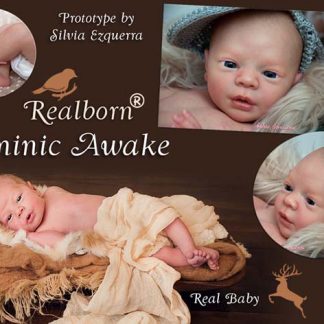 dominic realborn